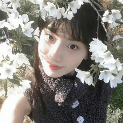 哥特萝莉侦探事件簿